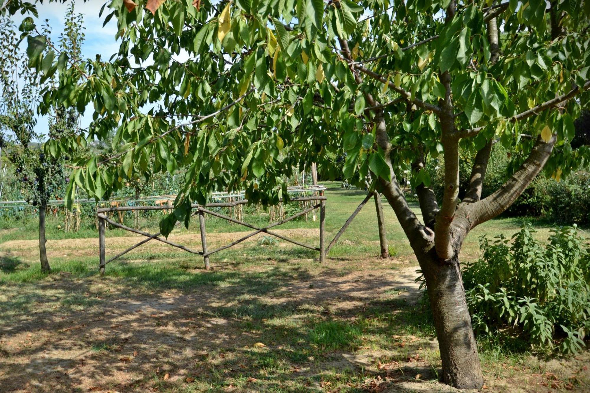 Cevoli Country Resort Lari Ngoại thất bức ảnh